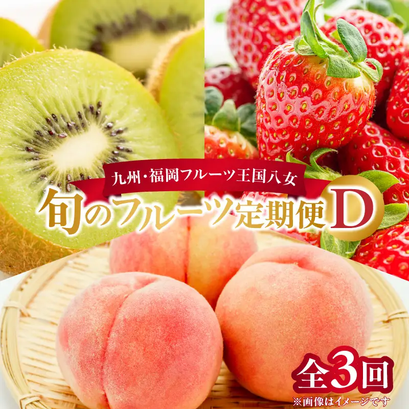 九州・福岡フルーツ王国八女 旬のフルーツ定期便【全3回】D ＜配送不可：北海道・沖縄・離島＞ フルーツ 定期便 あまおう もも キウイ 季節のフルーツ 果物 おすすめ セット 産地直送 福岡県 八女市 072-T004