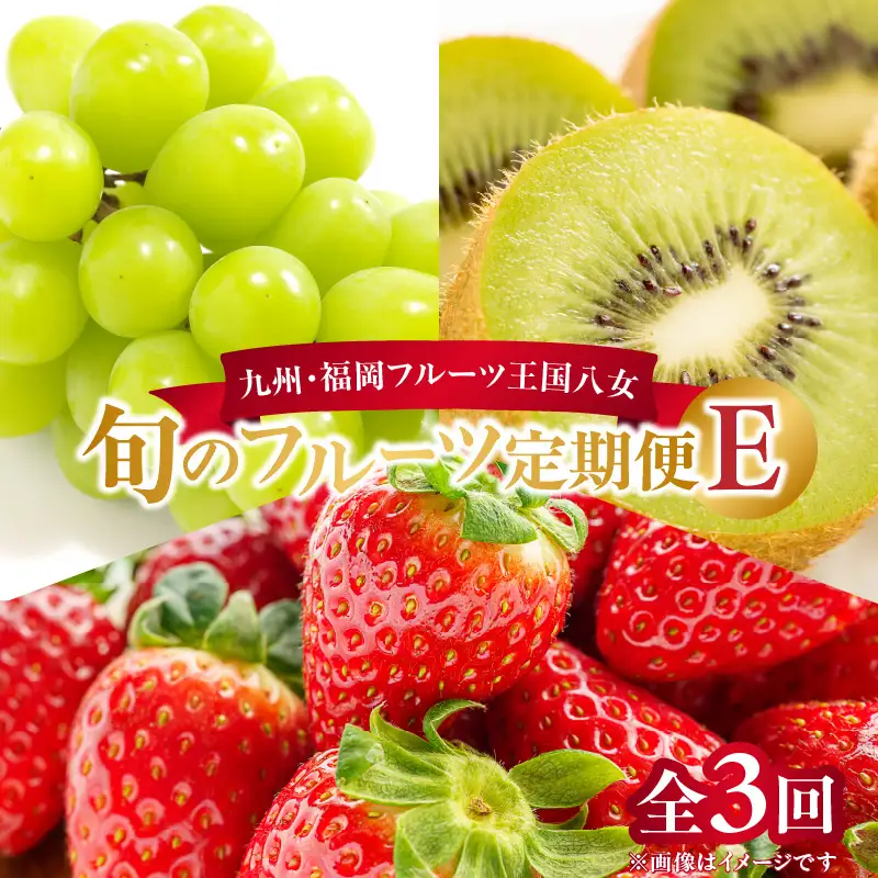 九州・福岡フルーツ王国八女 旬のフルーツ定期便【全3回】E ＜配送不可：北海道・沖縄・離島＞ フルーツ 定期便 あまおう シャインマスカット キウイ 季節のフルーツ 果物 おすすめ セット 産地直送 福岡県 八女市 072-T005