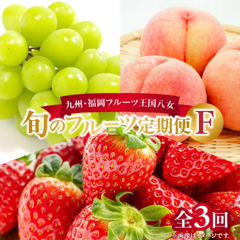 九州・福岡フルーツ王国八女 旬のフルーツ定期便【全3回】F ＜配送不可：北海道・沖縄・離島＞ フルーツ 定期便 あまおう シャインマスカット もも 季節のフルーツ 果物 おすすめ セット 産地直送 福岡県 八女市 072-T006