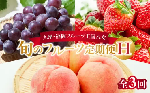 九州・福岡フルーツ王国八女　旬のフルーツ定期便【全３回】 H｜＜配送不可：北海道・沖縄・離島＞　072-T007