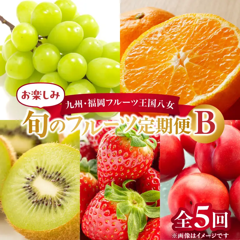 九州・福岡フルーツ王国八女 お楽しみ旬のフルーツ定期便【全5回】B＜配送不可：北海道・沖縄・離島＞ フルーツ 定期便  072-T010