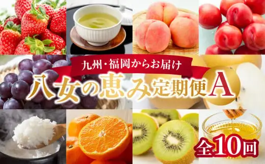 九州・福岡からお届け！八女の恵み定期便【全10回】 A｜＜配送不可：北海道・沖縄・離島＞　072-T031