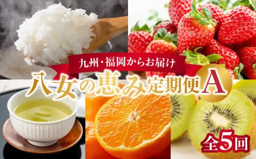 九州・福岡からお届け！八女の恵み定期便【全5回】 A　＜配送不可：北海道・沖縄・離島＞　072-T032