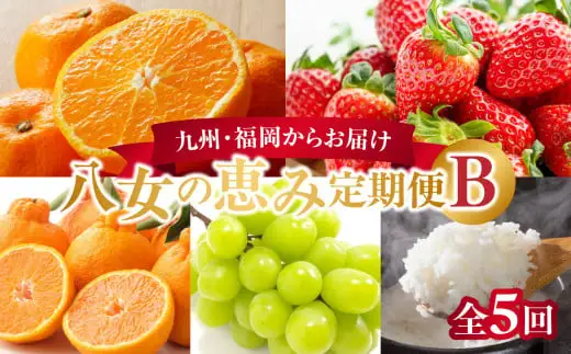 九州・福岡からお届け！お楽しみ八女の恵み定期便【全5回】 B｜配送不可：北海道・沖縄・離島　072-T033