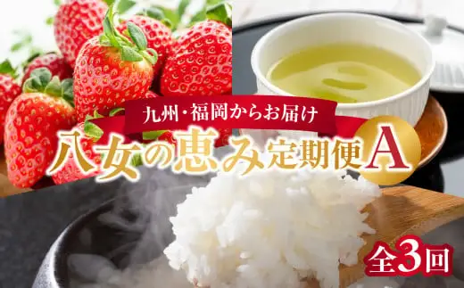 九州・福岡からお届け！八女の恵み定期便【全３回】 A｜＜配送不可：北海道・沖縄・離島＞　072-T034
