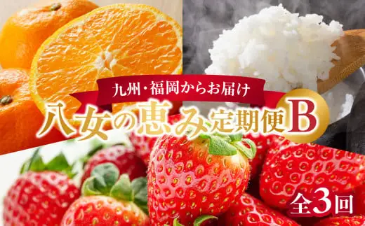 九州・福岡からお届け！八女の恵み定期便【全３回】 B｜＜配送不可：北海道・沖縄・離島＞　072-T035