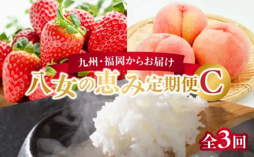 九州・福岡からお届け！八女の恵み定期便【全３回】 C｜＜配送不可：北海道・沖縄・離島＞　072-T036