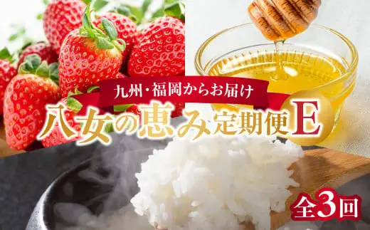 九州・福岡からお届け！八女の恵み定期便【全３回】 E｜＜配送不可：北海道・沖縄・離島＞　072-T038