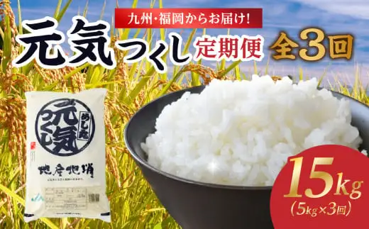 九州・福岡からお届け！ブランド米「元気つくし」定期便【全３回】 お米 米 コメ 白米 特A 直送 お弁当 おにぎり 炊きたて ツヤ 粘り もちもち 弾力 卵かけご飯 福岡県 八女市 072-T069