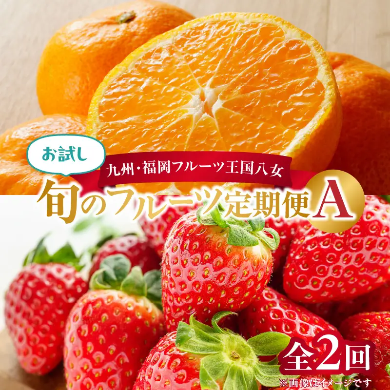 九州・福岡フルーツ王国八女 お試し旬のフルーツ定期便【全2回】A＜配送不可：北海道・沖縄・離島＞ フルーツ 定期便 あまおう みかん いちご 蜜柑 オレンジ 果物 福岡県 八女市 072-T015