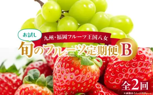 九州・福岡フルーツ王国八女　お試し旬のフルーツ定期便【全２回】 B｜＜配送不可：北海道・沖縄・離島＞　072-T016