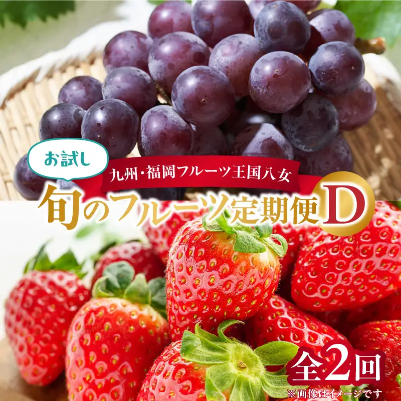九州・福岡フルーツ王国八女 お試し旬のフルーツ定期便【全2回】D＜配送不可：北海道・沖縄・離島＞ フルーツ 定期便 ぶどう あまおう いちご 果物 福岡県 八女市 072-T017