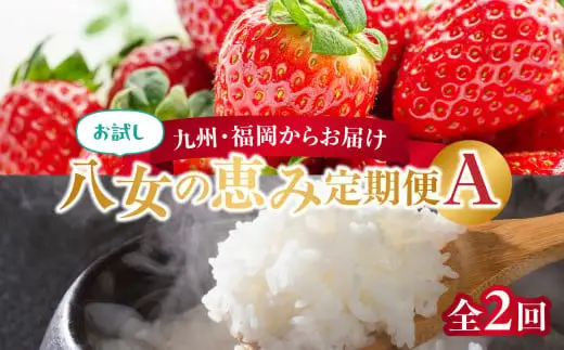 九州・福岡からお届け！八女の恵み定期便お試し【全2回】A　＜配送不可：北海道・沖縄・離島＞　072-T041