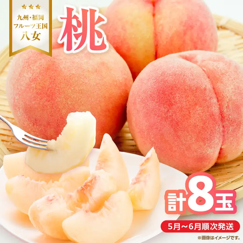 【2026年5月下旬～6月発送】九州・福岡フルーツ王国八女から直送！桃 8玉入り＜配送不可：北海道・沖縄・離島＞ 県 八桃 もも モモ フルーツ くだもの 果物 産地直送 ジューシー 家庭用 自宅用 家族団らん デザート スイーツ作り 福岡女市 072-164