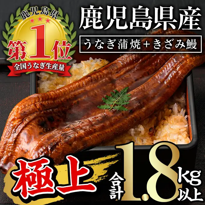 うなぎ 無投薬 蒲焼 きざみ 鹿児島県産  ＜極上＞ (160g～236g×7尾・きざみ50g×10袋) うなぎ 【西日本養鰻】D12-v02