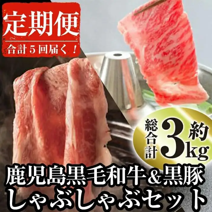 ＜定期便・全5回＞鹿児島県産 黒毛和牛 黒豚 しゃぶしゃぶ セット(各300g×2×5回・計3kg)【ナンチク】T1-v01