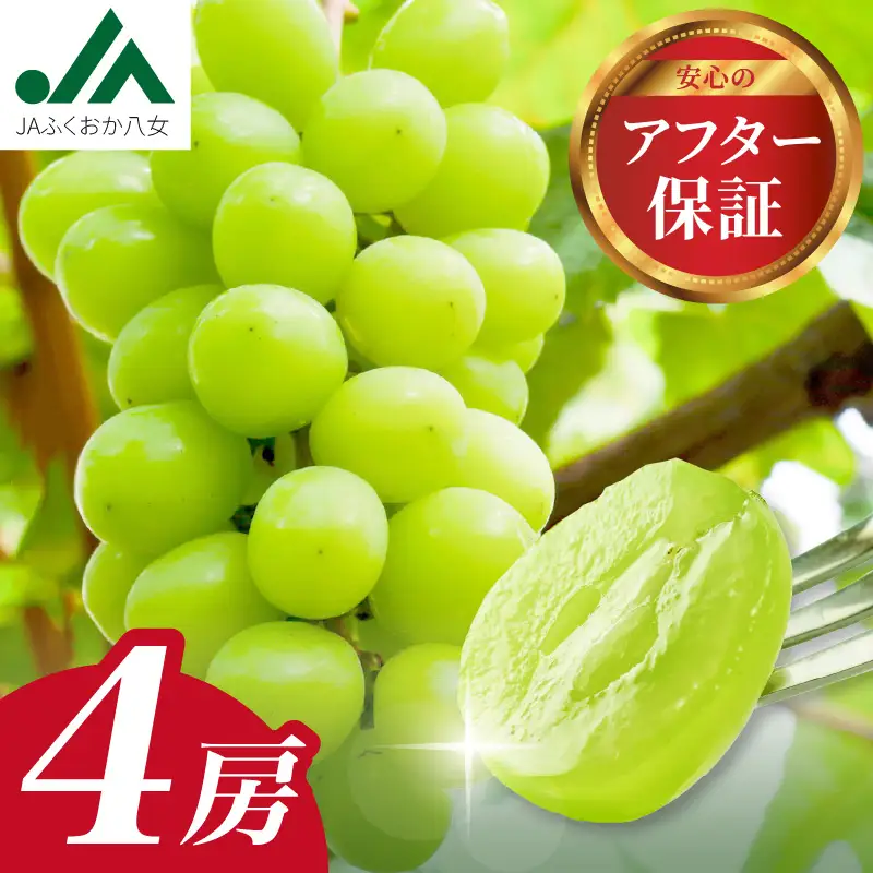 シャインマスカット 1.4kg(350g×4P)【JA八女】｜ 002-019