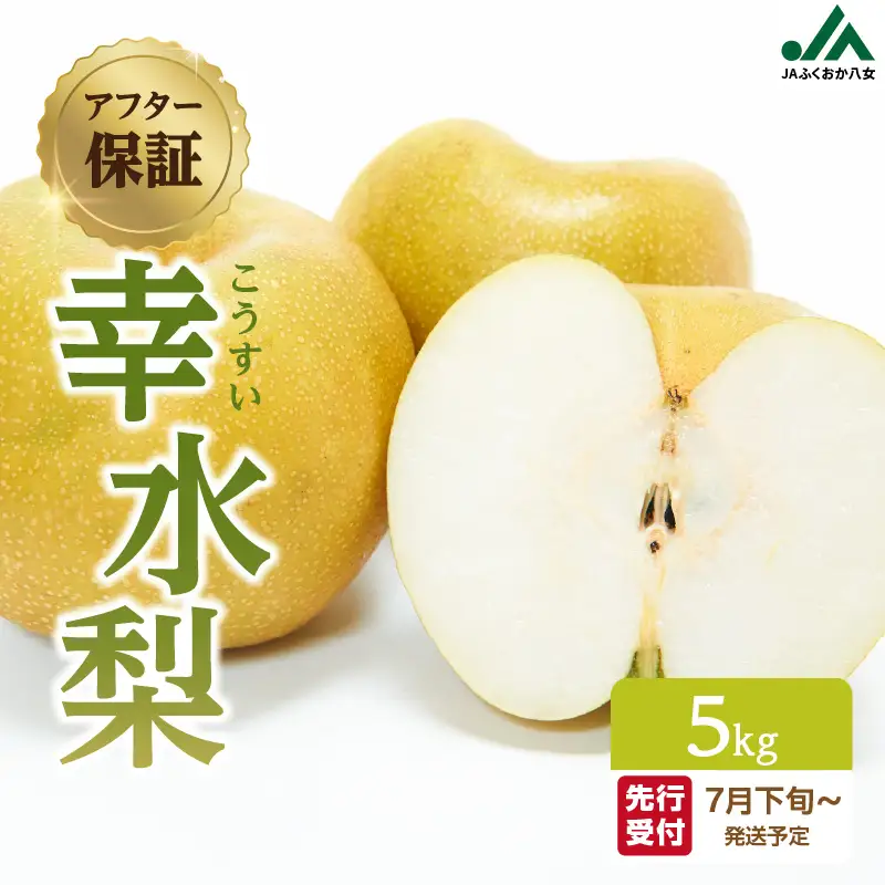 【先行受付】幸水梨（5kg）【ＪＡふくおか八女】｜2026年7月下旬～発送予定 梨 幸水梨 2026年予約 先行受付 光センサー 002-010
