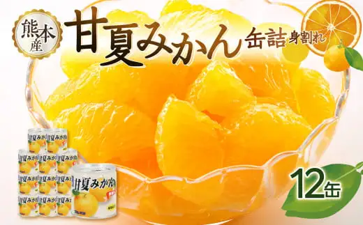 甘夏みかん 缶詰 12缶入り（身割れ） 007-013