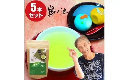 自社製造の深蒸しの八女茶！茶ごころ100g入り5袋セット　008-005