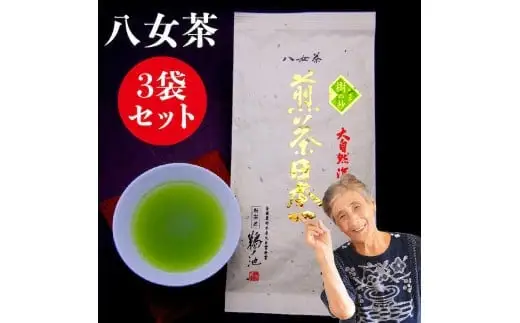 自社製造の深蒸しの八女茶！当店実績ナンバーワン！樹の抄（いつきのしょう）100g入り3袋セット　008-013