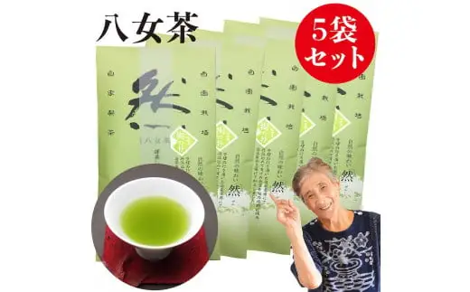 自社製造の深蒸しの八女茶！綺麗な「然」パッケージ！樹の抄（いつきのしょう）100g入り5袋セット　008-017
