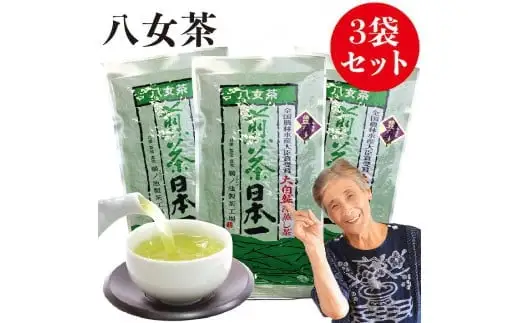 自社製造の深蒸しの八女茶！食事に合うお茶！豊の抄（ゆたかのしょう）100g入り3袋セット　008-019