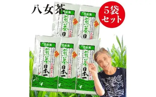 自社製造の深蒸しの八女茶！地の抄（ちのしょう）100g入り5袋入り　008-023