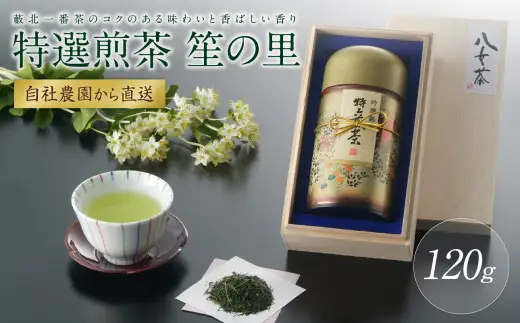 【自社農園から直送】藪北一番茶のコクのある味わいと香ばしい香り　笙の里　073-002