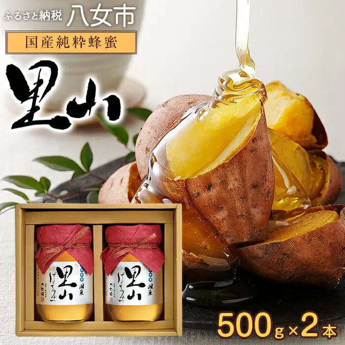 かの蜂 国産里山蜂蜜【500g×2本】セット　養蜂一筋60年自慢の一品 蜂蜜 はちみつ 蜂蜜 蜂蜜 国産 完熟 天然 非加熱 常温 保存 備蓄 防災色 非常食 保存食 防災グッズ 福岡県 八女市 024-020