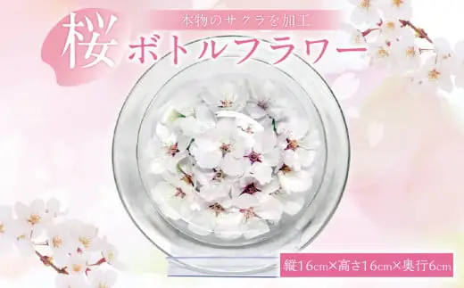 本物のサクラを加工した大人気のボトルフラワー　029-002
