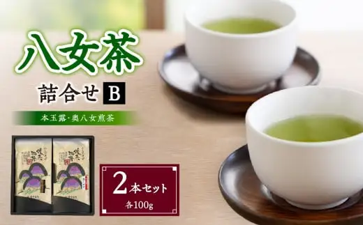 八女茶詰合せセットB（本玉露1本・奥八女煎茶1本）各100g　032-003