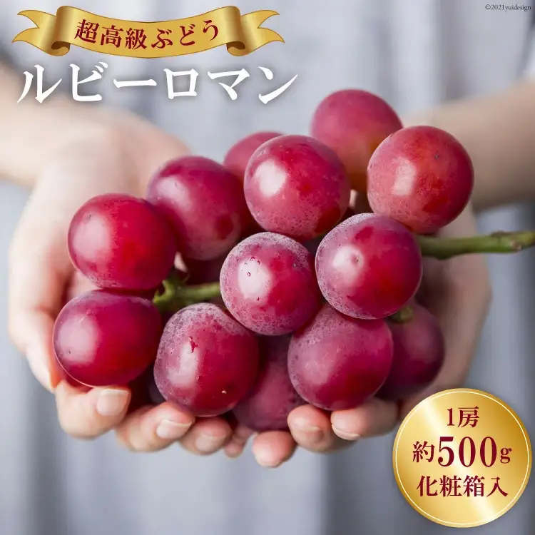 超高級 ぶどう ルビーロマン 1房 約500g 化粧箱入 [モアショップヤマモト 石川県 宝達志水町 38601385]