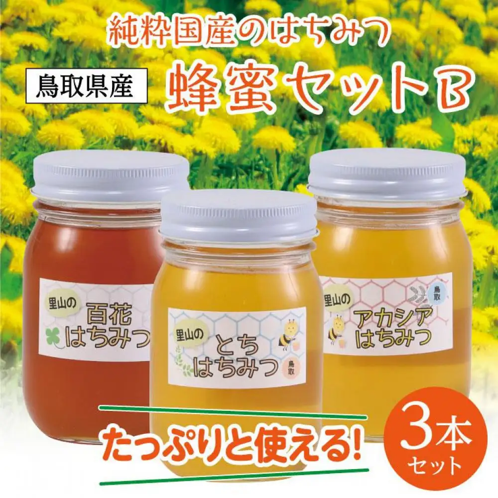 蜂蜜セット B