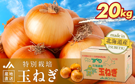 【先行受付】R8年産 特別栽培玉ねぎ 20kg | 玉ねぎ たまねぎ タマネギ 玉葱 大容量 オニオン 甘い 減農薬 特別栽培 国産 カレー ハンバーグ 煮込み 炒め物 北海道 津別町 送料無料
