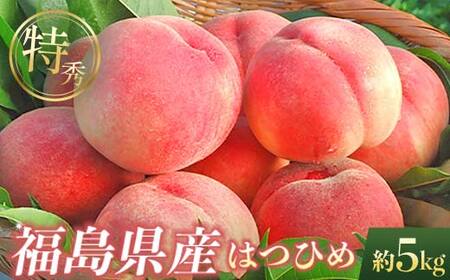 【2026年出荷分先行予約】福島県産 特秀 はつひめ 約5kg (18-22玉) ふくしま未来農業協同組合 特秀 透過式光センサー選別 糖度11度以上 伊達の桃 桃 フルーツ 果物 もも モモ momo F20C-127