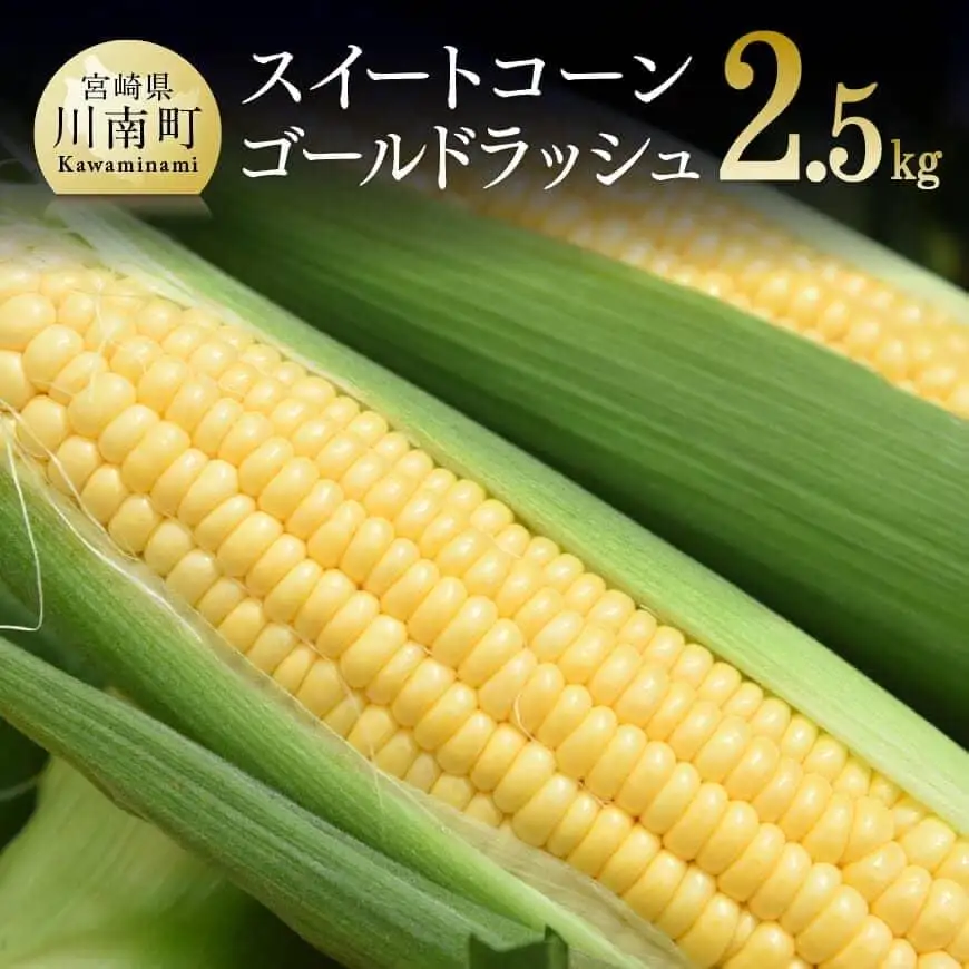 【令和8年発送】宮崎県産とうもろこし朝どれ！守部さんちのゴールドラッシュ2.5kg スイートコーン