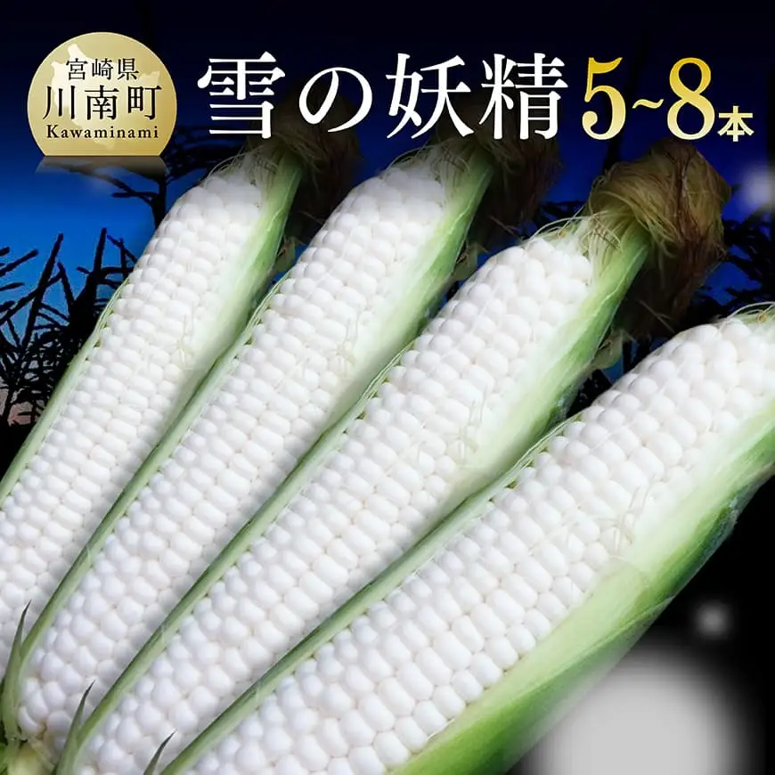 【令和8年発送】大山さんちのホワイトコーン(雪の妖精)5～8本 スイートコーン