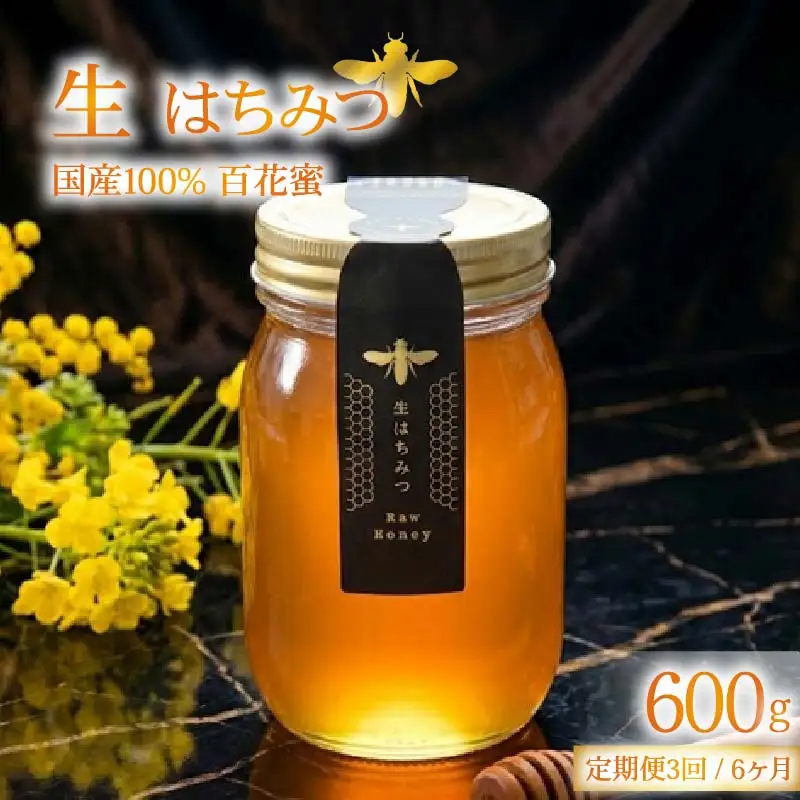 ＜下田みつばち＞下田産ローハニー(生はちみつ)600g　定期便　6ヶ月　3回　[下田みつばちのローハニー 蜂蜜 国産]