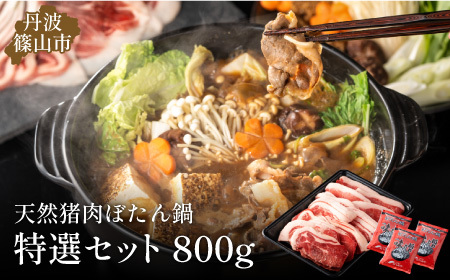 ぼたん鍋 猪肉 食べ比べ (特選 800g 4~5人前）猪肉 [D010]