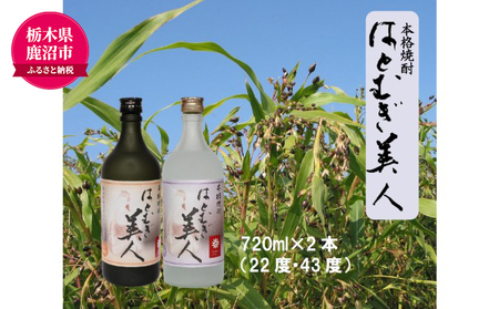 【栃木県 鹿沼市産】 本格焼酎 はとむぎ 美人 2本セット（22度・43度）各720ml×２本 酒 焼酎 麦 酒 米焼酎 お酒 
