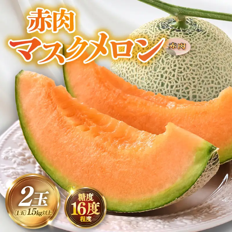 【先行予約】赤肉パリスメロン 秀品 2玉（1.5kg以上×2玉）【アールス系赤肉メロン】《糖度16度程度！1株1果採りで育てる高級メロン！》／ 果物 フルーツ 農家直送 赤肉 マスクメロン アールスメロン ギフト 贈答用 ※2026年7月上旬より順次発送予定 [aw028-a003]