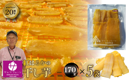 ＜先行予約★2026年11月から発送＞紅はるかの干し芋170ｇ×５袋入り 088-006