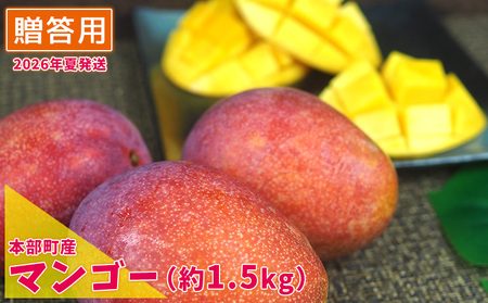 マンゴー【2026年夏発送】もとぶ町産マンゴー（贈答用）約1.5kg詰め フルーツ