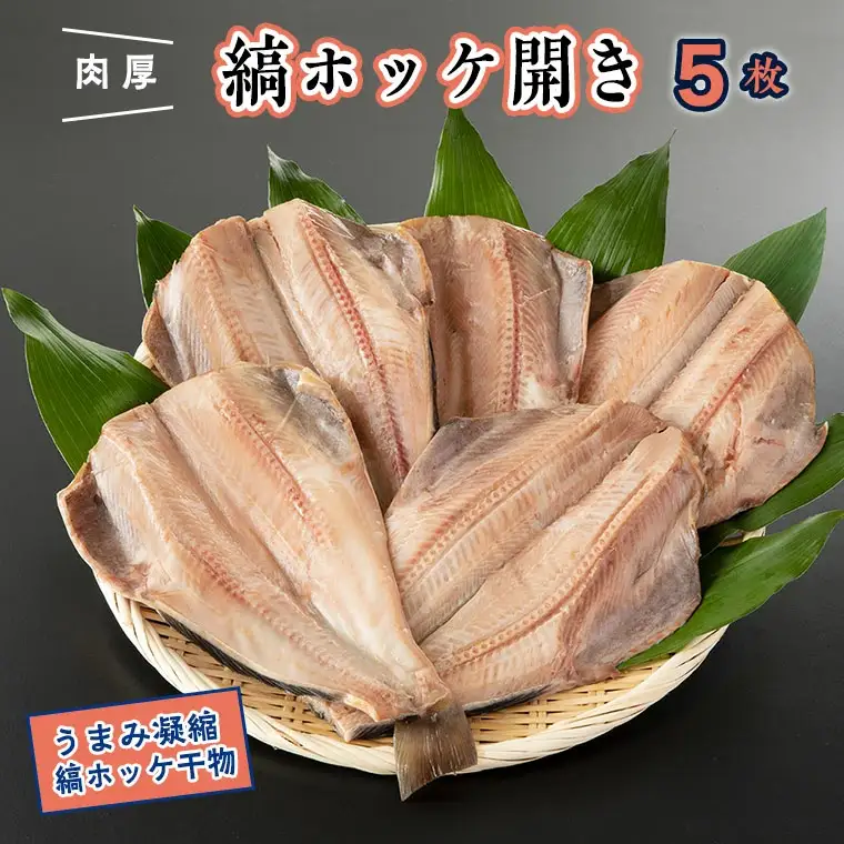 干物 縞ホッケ開き 5枚 特大 肉厚 ほっけ _AF038