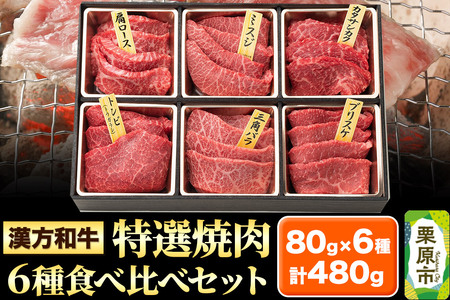 漢方和牛特選焼肉食べ比べセット 80g×6種 計480g 【肩ロース、ミスジ、カタサンカク、トンビ、三角バラ、ブリスケ】牛肉 焼き肉