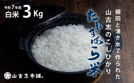 G3-7K03旧山古志村のこしひかり「たねすはら米」白米3kg（新潟県産コシヒカリ）