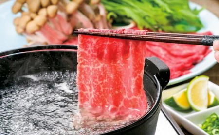 (合計500g)豊後・米仕上牛しゃぶしゃぶ食べ比べセット【豊後高田市限定】 | 豊後高田市 しゃぶしゃぶ