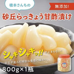 橋本さんちの砂丘らっきょう甘酢漬け 800g (瓶)