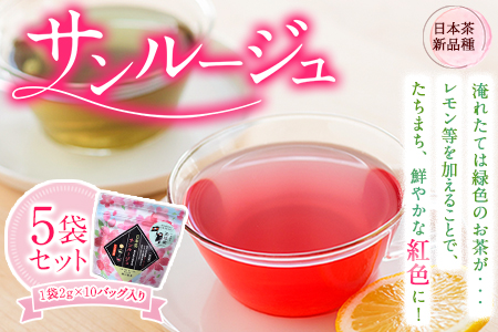  色が変わる日本茶 サンルージュ 5袋セット (1袋10バッグ入り) ティーバッグ 《60日以内に出荷予定(土日祝除く)》熊本県 大津町産 株式会社 瀬川製茶 新品種 希少 ピンク 緑茶